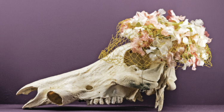 [Loisirs] Les bonnes idées de sorties du week-end du 1-2 octobre