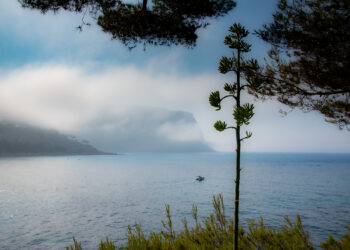 [Loisirs] Que faire ce week-end (31.10 – 1.11) ?