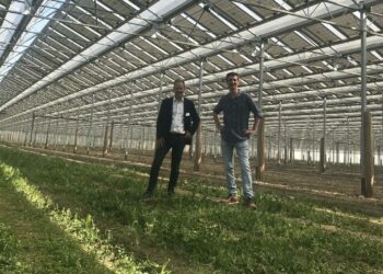 Nicolas Jeuffrain (à gauche) lors de la présentation d'une serre solaire à Mallemort (Crédit DR)