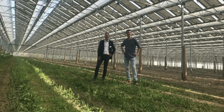 Nicolas Jeuffrain (à gauche) lors de la présentation d'une serre solaire à Mallemort (Crédit DR)