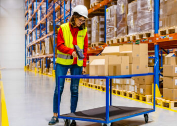 CMA CGM accélère dans la logistique e-commerce avec le rachat d'Ingram Micro (Crédit CMA CGM)