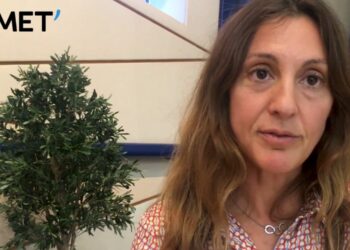 Cécile Balestrini Le vélo +