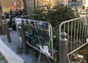 Un point de collecte des sapins de Noël mis en place place St Eugène dans le 7e arrondissement de Marseille (Crédit Gomet')