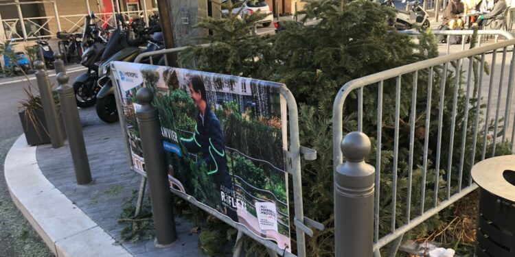 Un point de collecte des sapins de Noël mis en place place St Eugène dans le 7e arrondissement de Marseille (Crédit Gomet')