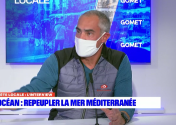 Gilles Lecaillon, président fondateur d'Ecocean, sur le plateau de Planète Locale (Crédit : BFM Marseille)