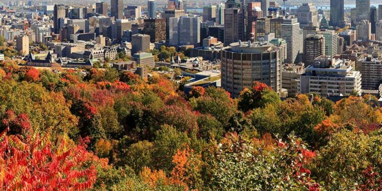 Ortec rachète la branche nettoyage industriel de Veolia au Canada (Crédit DR)