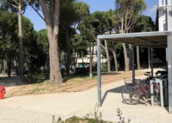 mobilité Aix-Marseille Université