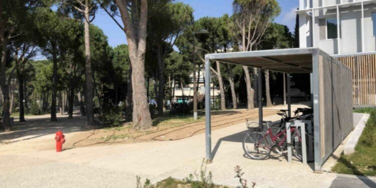 mobilité Aix-Marseille Université