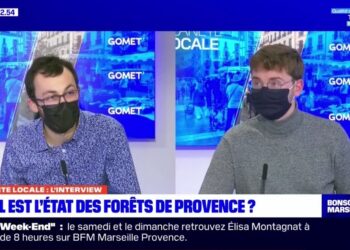 Planète Locale #9 avec Nicolas Plazanet