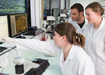 Neuroservice teste les médicaments sur les neurones du cerveau (Crédit DR)