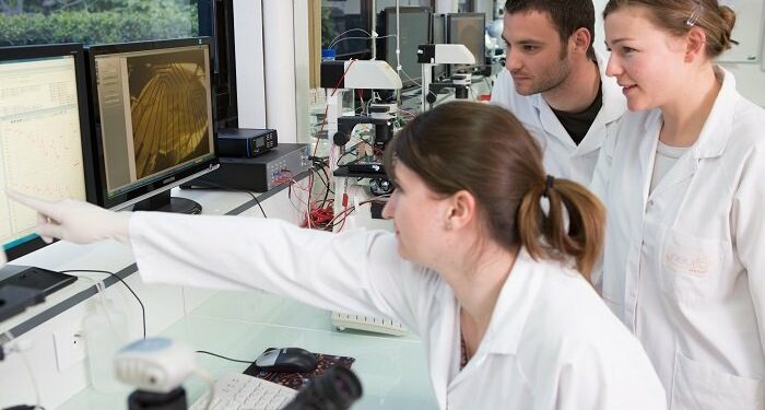 Neuroservice teste les médicaments sur les neurones du cerveau (Crédit DR)