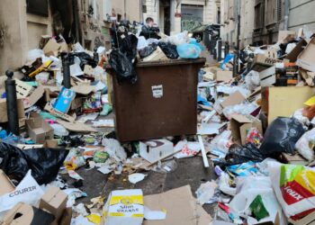 Les assises de la propreté tant attendues auront lieu le 18 mars à Marseille (Crédit RL)