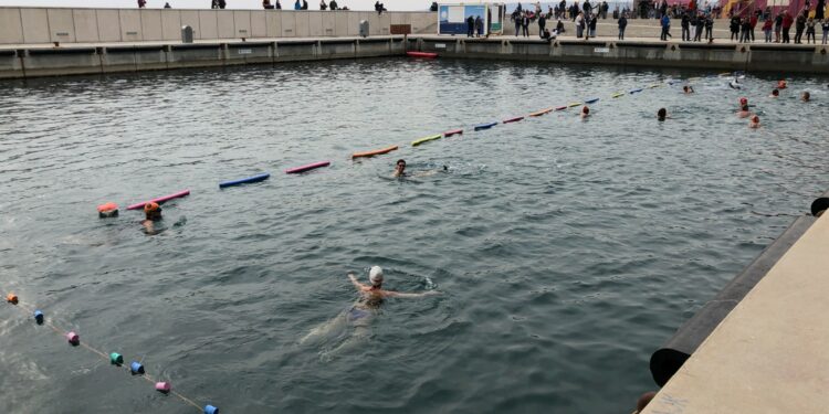 Les Libres Nageurs plongent dans le bassin du Mucem pour réclamer une piscine