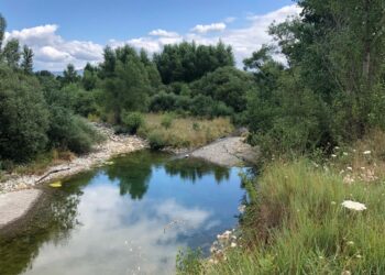 Préserver la ressource en eau, une priorité par temps de sécheresse (Crédit Gomet')