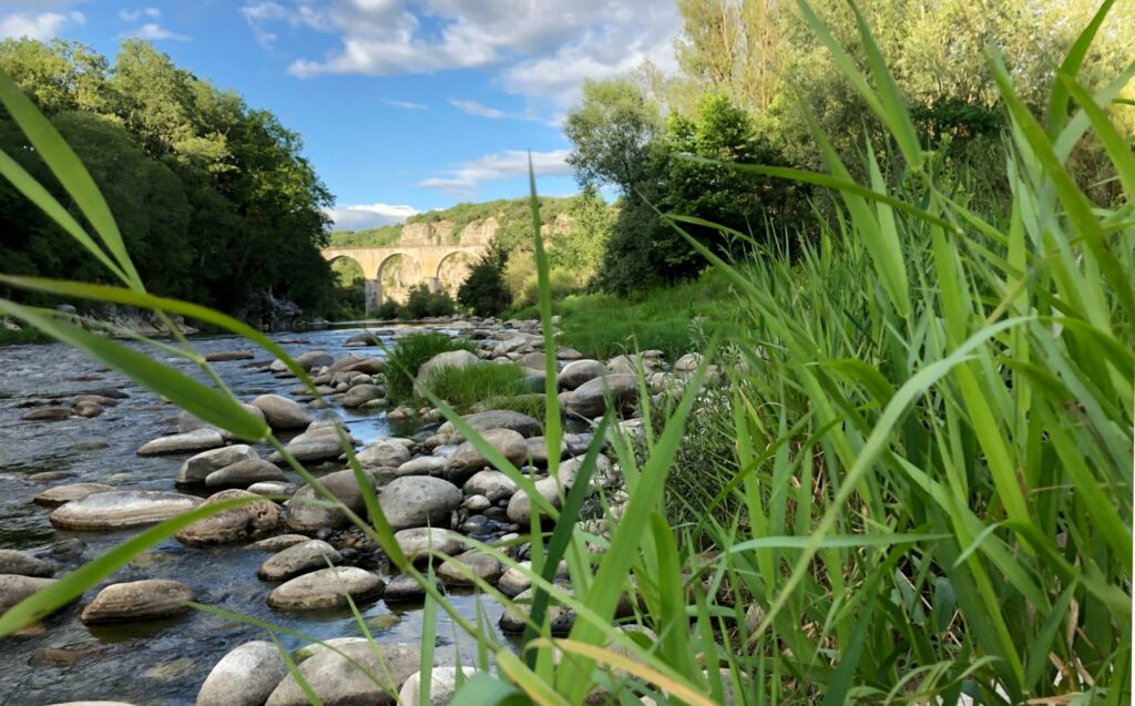 Les niveaux des cours d'eau cet été ont connu des plus bas historiques. Ici la rivière Ardèche en contre-bas du village de Vogüé (crédit Gomet'/JFE)