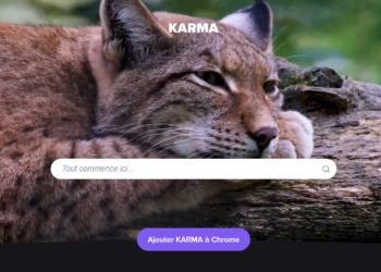 Aperçu de la page d'accueil du moteur de recherche Karma