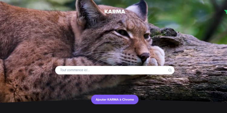 Aperçu de la page d'accueil du moteur de recherche Karma
