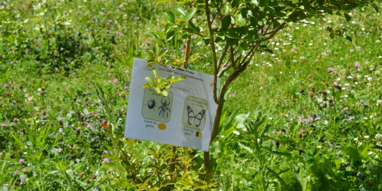 Fête de la nature : un week-end pour célébrer la biodiversité à Aix-en-Provence