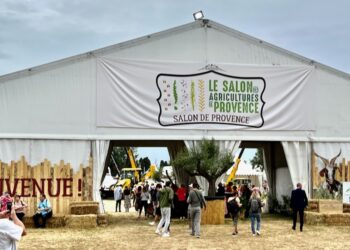 Changement climatique : le Crédit Agricole anticipe l’assurance récolte et finance la transition