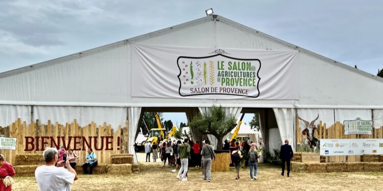 Changement climatique : le Crédit Agricole anticipe l’assurance récolte et finance la transition