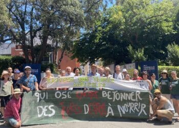 Les militants de la ZAP de Pertuis