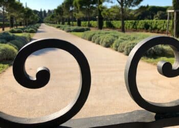 Allée principale menant au Château Léoube (Crédit Gomet'/JFE)