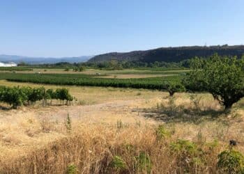 Sècheresse (Crédit DR)