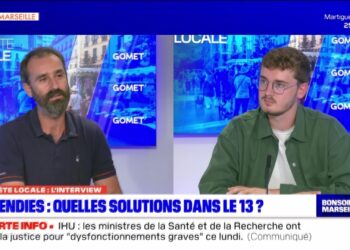 Feux de forêt : « le bois brûlé par les incendies peut être utilisé » (Fibois Sud)