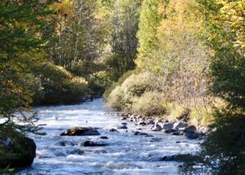 L’Agence de l’eau investit 460 millions pour renaturer les milieux aquatiques