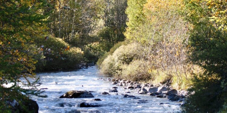 L’Agence de l’eau investit 460 millions pour renaturer les milieux aquatiques