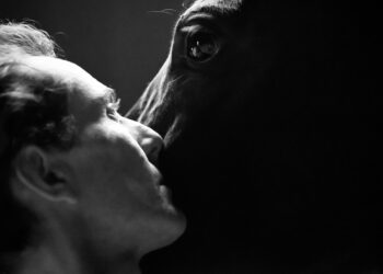 [Agenda] Que faire ce week-end des 26 et 27 novembre ?