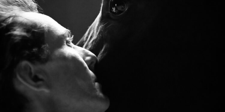 [Agenda] Que faire ce week-end des 26 et 27 novembre ?