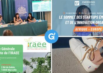 agenda novembre décembre