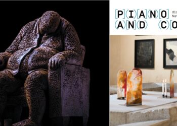 Les activités du week-end du 11 novembre 2022 (Crédit DR)