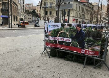 collecte sapin noël Marseille