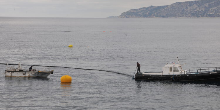 Marseille se raccorde à Medloop (crédit : archives DR)