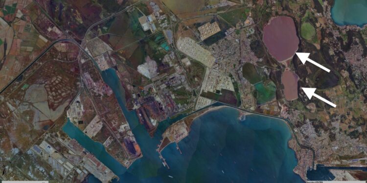 Les deux étangs saumure de Lavalduc (le plus grand au nord) et de Lavaldier (Crédit Métropole Aix Marseille Provence)