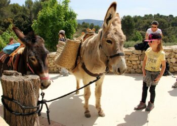 [Agenda] Que faire ce week-end des 14 et 15 janvier ?