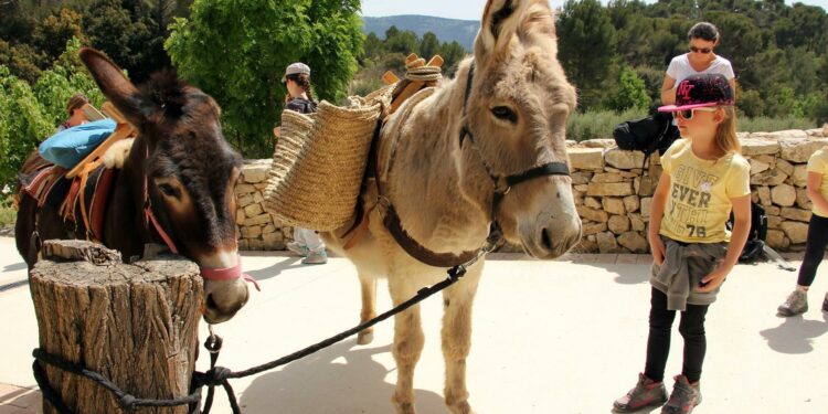 [Agenda] Que faire ce week-end des 14 et 15 janvier ?