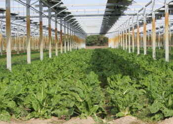 [En bref] L’entreprise à mission Voltalia (Aix) récolte des bonnes notes en 2022