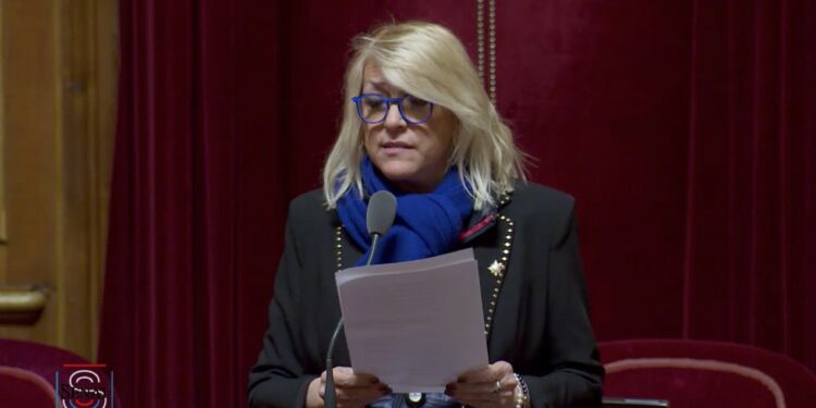 Brigitte Devesa le 14 février 2023 au Sénat (capture d'écran senat.fr)