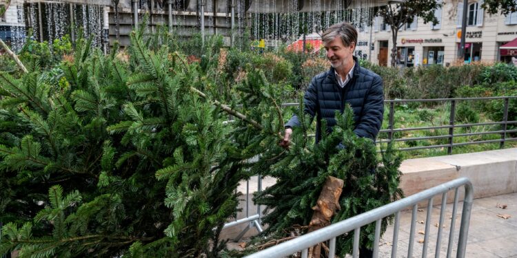 La Métropole donne, chaque année, une nouvelle vie aux sapins en les acheminant vers des plateformes de compostage pour, à terme, nourrir les sols (crédit : AMP Métropole)