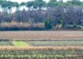 Permanences agricoles