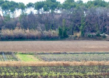 Permanences agricoles