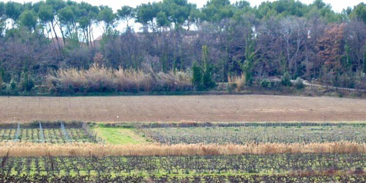 Permanences agricoles