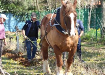 agence de l'eau monde agricole
