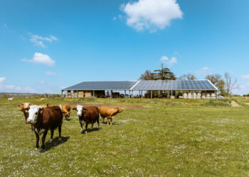 Irisolaris (Rousset) premier bénéficiaire du fonds « CAAP Transitions » du Crédit agricole