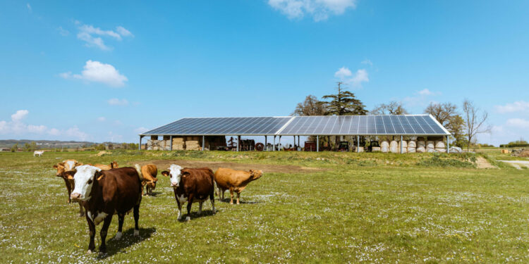 Irisolaris (Rousset) premier bénéficiaire du fonds « CAAP Transitions » du Crédit agricole