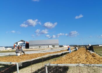 Bilan 2022 des IDE : La Tunisie devient le 2e investisseur en région Sud