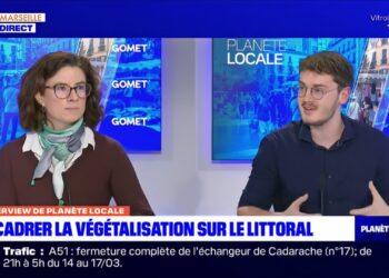 « Plantons local » : l’Arbe publie un nouveau guide pratique pour mieux végétaliser